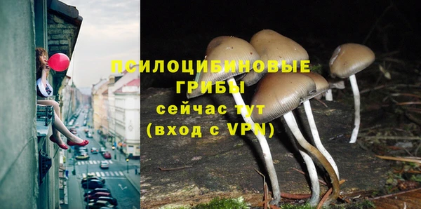 mdpv Белокуриха
