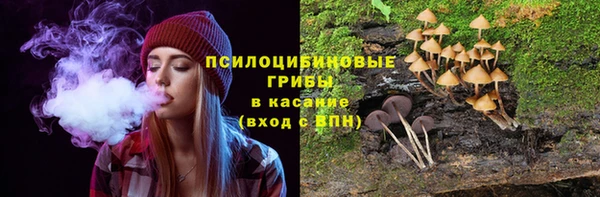 mdpv Белокуриха